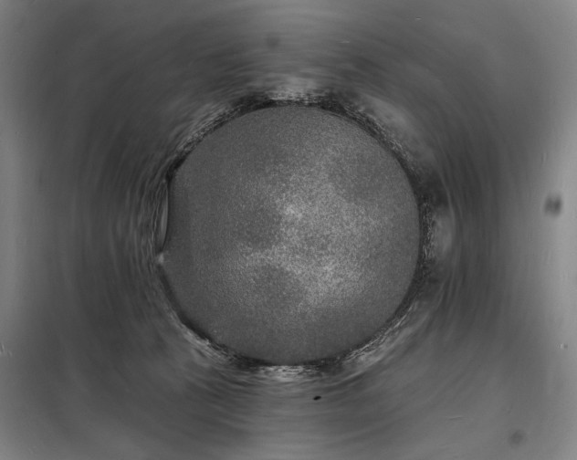 X0000098230273200805011305