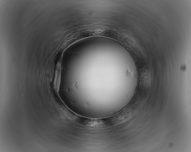 X0000098230274200805011305