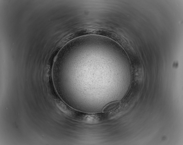 X0000098230275200805011305