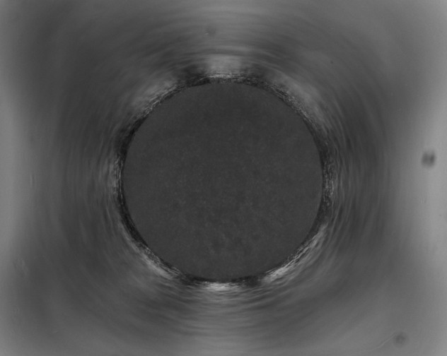 X0000098230277200805011305