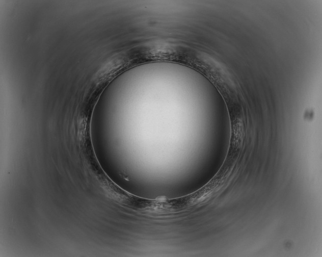 X0000098230278200805011305