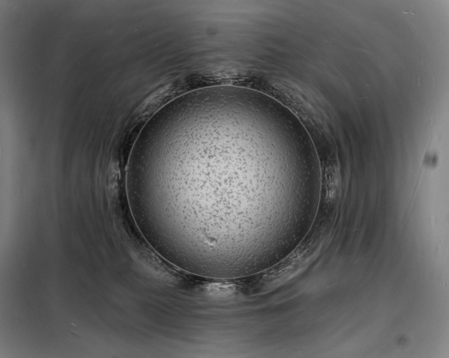 X0000098230279200805011305