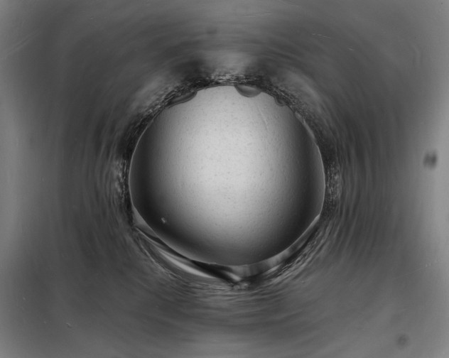 X0000098230280200805011305