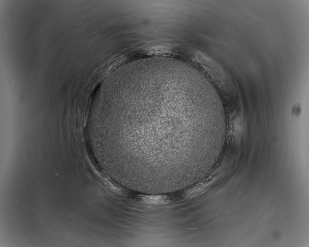 X0000098230281200805011305