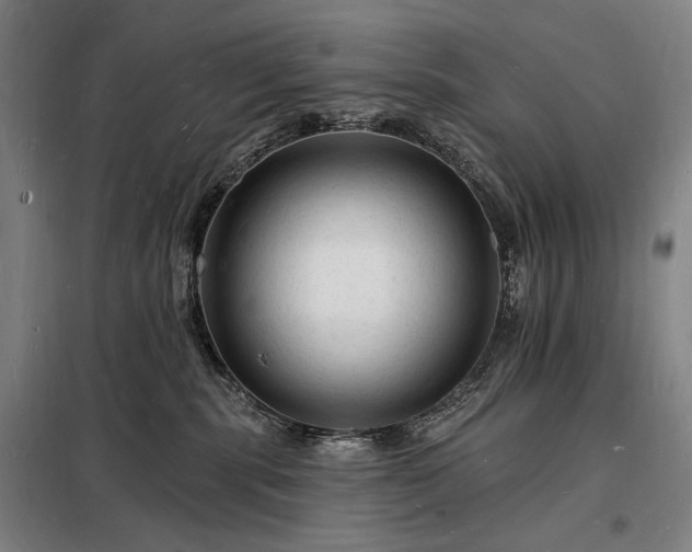 X0000098230283200805011305