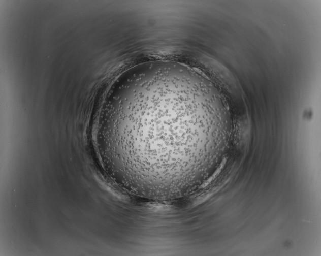 X0000098230284200805011305