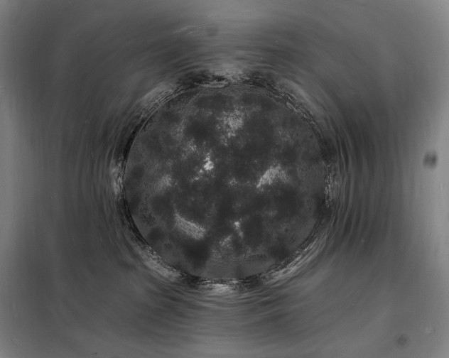 X0000098230285200805011305