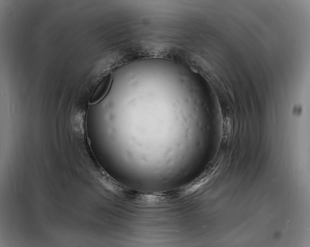 X0000098230286200805011305