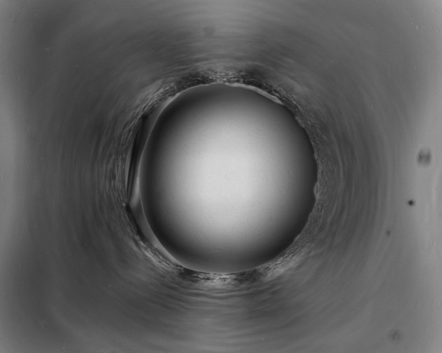 X0000098230288200805011305