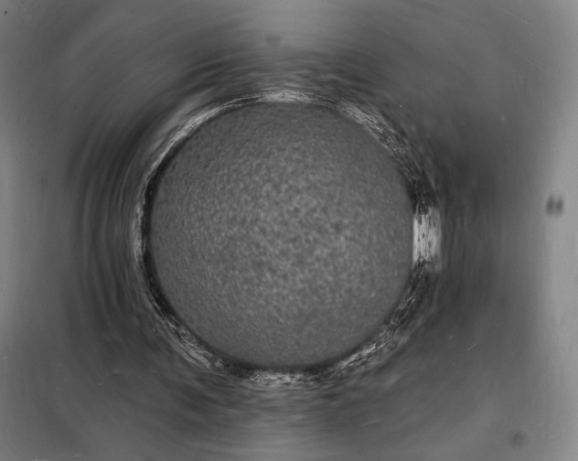 X0000098230291200805011304