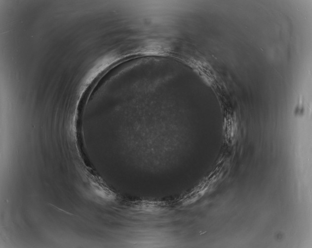 X0000098230292200805011304