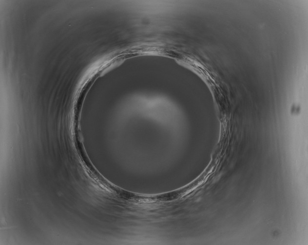 X0000098230293200805011304