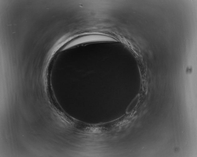 X0000098230295200805011304
