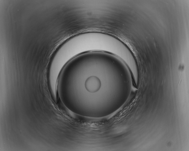 X0000098230297200805011304