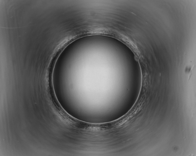 X0000098230298200805011304