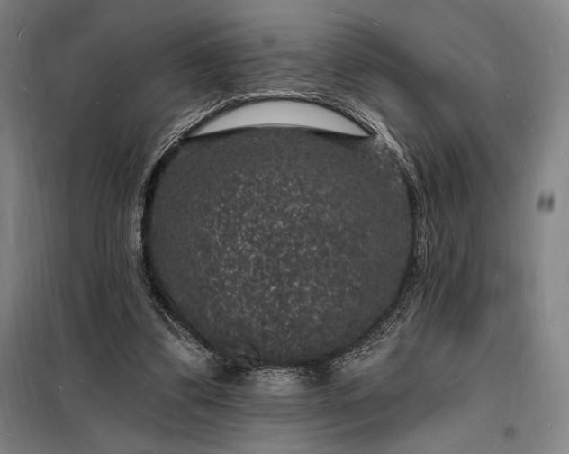 X0000098230299200805011304