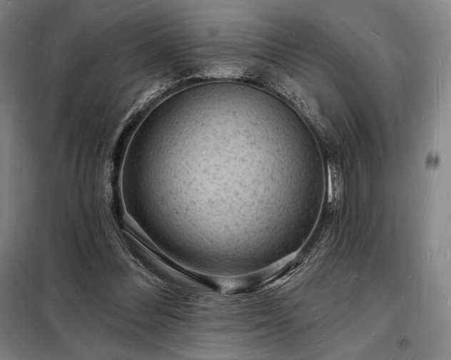 X0000098230300200805011304