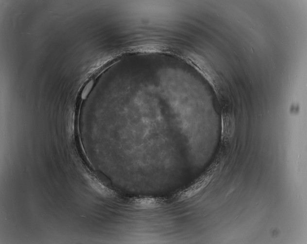 X0000098230301200805011304