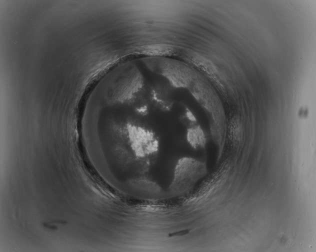 X0000098230303200805011304