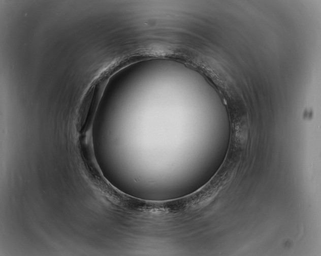 X0000098230304200805011304