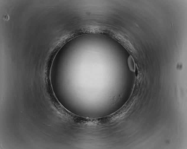 X0000098230306200805011304