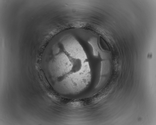 X0000098230307200805011304