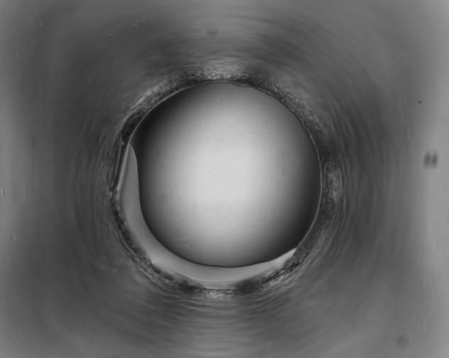X0000098230308200805011304