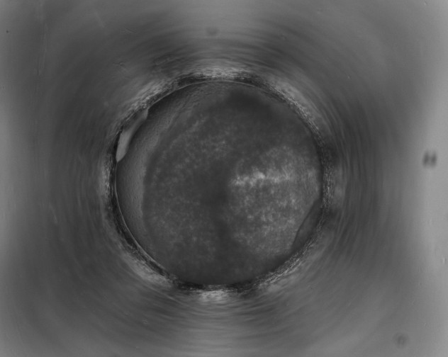 X0000098230309200805011304