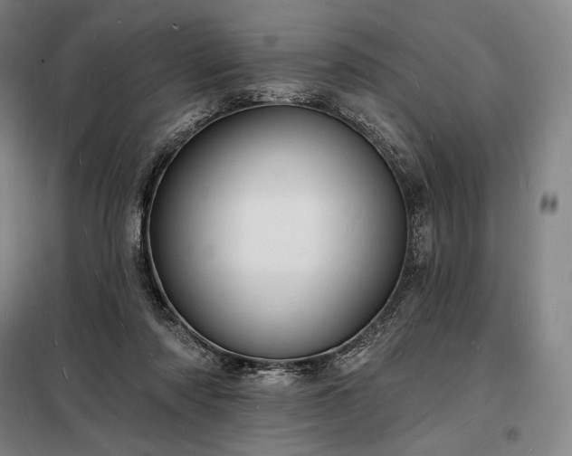 X0000098230310200805011304