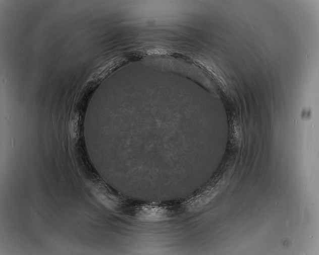 X0000098230311200805011304