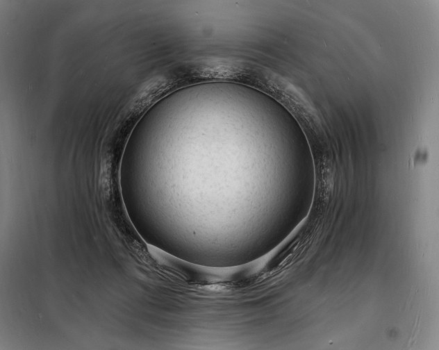 X0000098230312200805011304