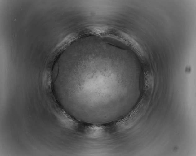 X0000098230313200805011304
