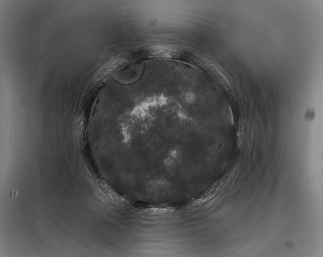 X0000098230314200805011304