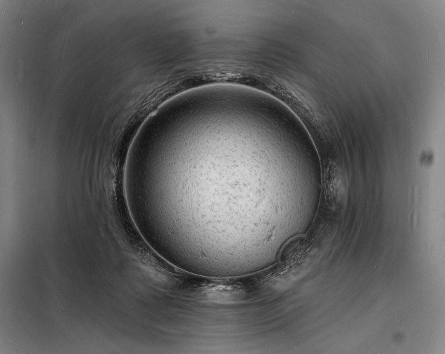 X0000098230315200805011304
