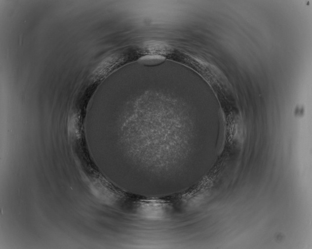 X0000098230316200805011304