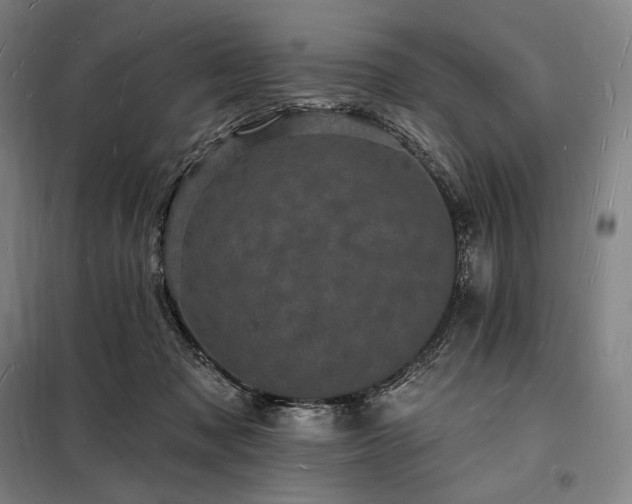 X0000098230317200805011304