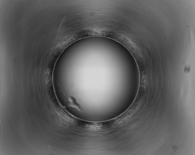X0000098230318200805011304