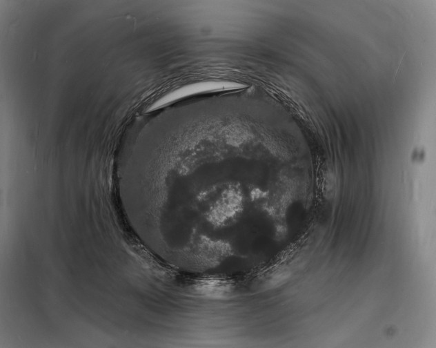 X0000098230319200805011304