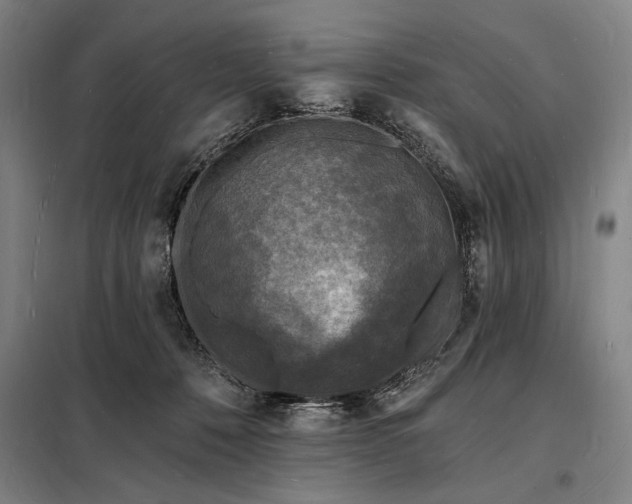 X0000098230320200805011304