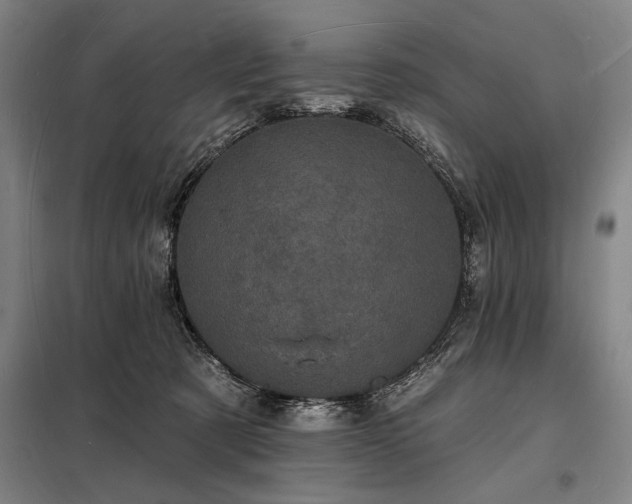 X0000098230321200805011304