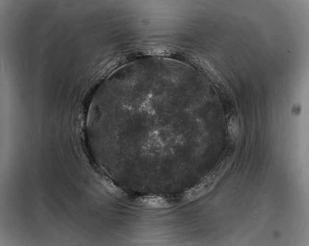 X0000098230322200805011304