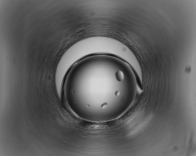 X0000098230323200805011304
