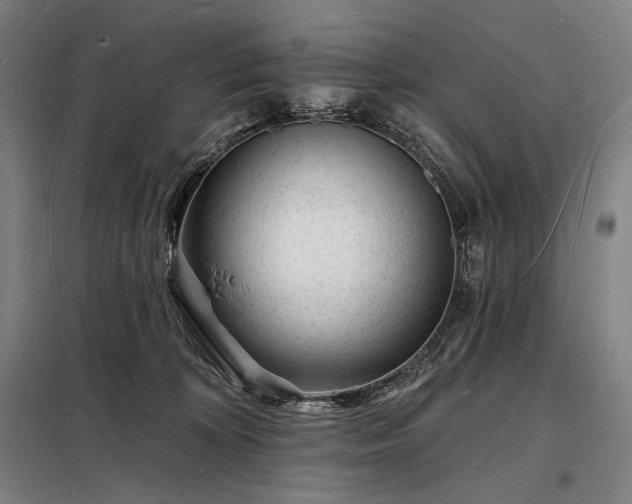 X0000098230324200805011304