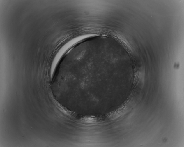 X0000098230325200805011304