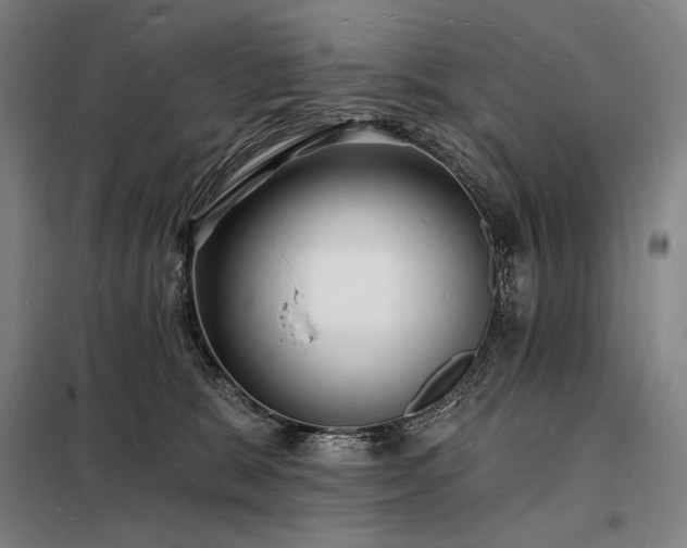 X0000098230327200805011304