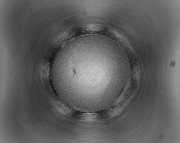X0000098230328200805011304