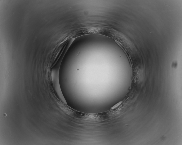 X0000098230329200805011304