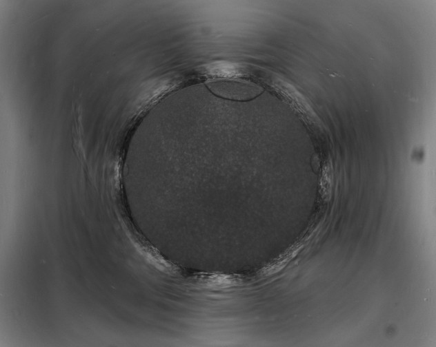 X0000098230330200805011304