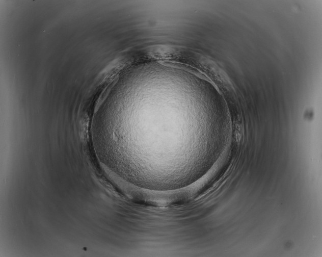 X0000098230332200805011304