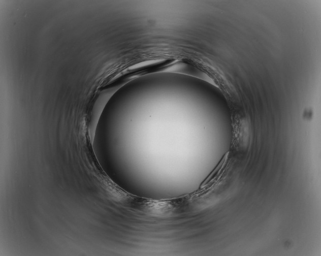 X0000098230333200805011304